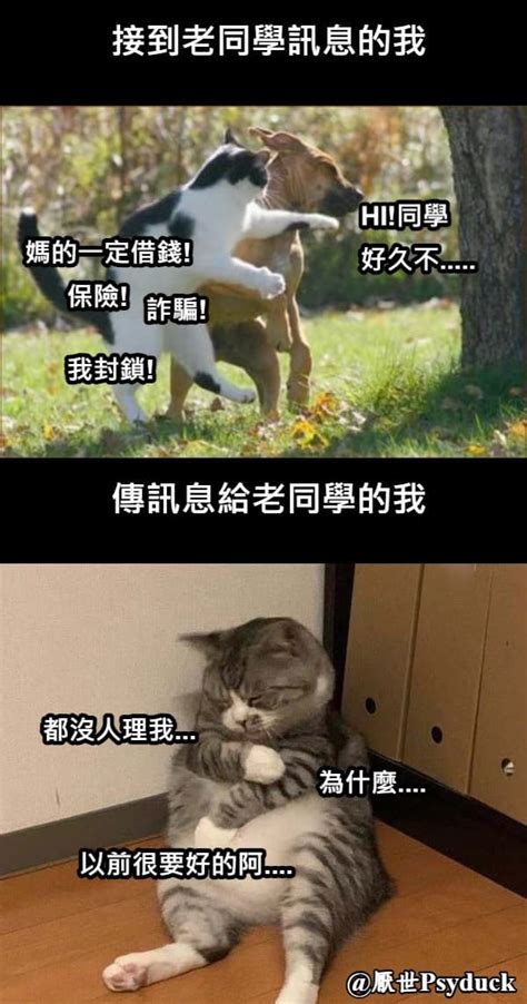 沒朋友 梗圖|Meme 梗圖倉庫